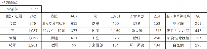 R2公表予定部位一覧