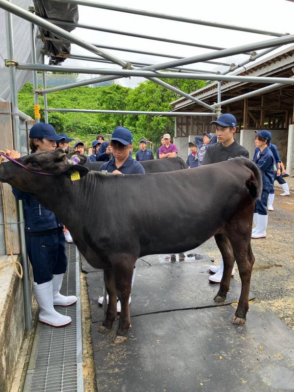 体高測定の実習