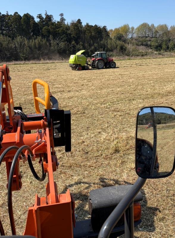 ロールグラブからのながめ