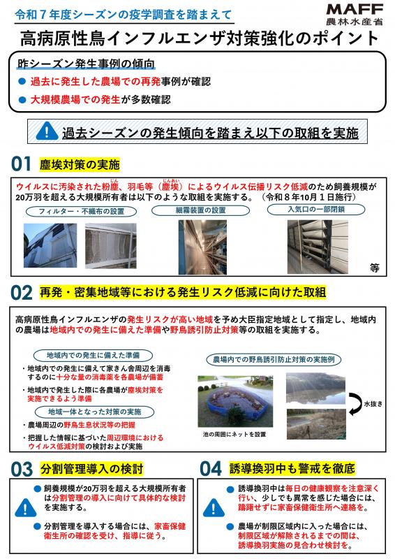 強化のポイント