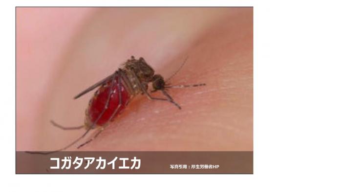 のワクチン接