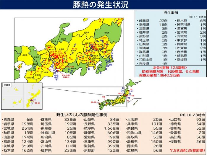 CSF発生状況241101