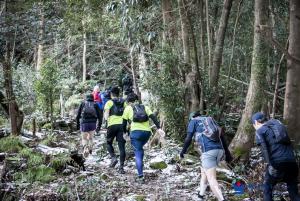 2025冠岳トレイル_2