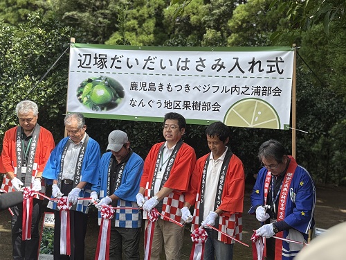 辺塚だいだいはさみ入れ式