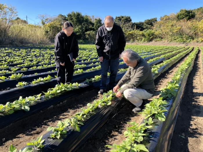 しまあかり合同巡回