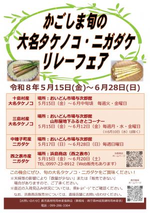 ニガダケフェアチラシ