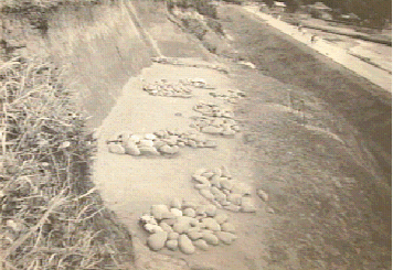 鳥ノ峯遺跡の覆墓石の写真