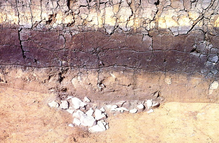 約3万年前の礫群
