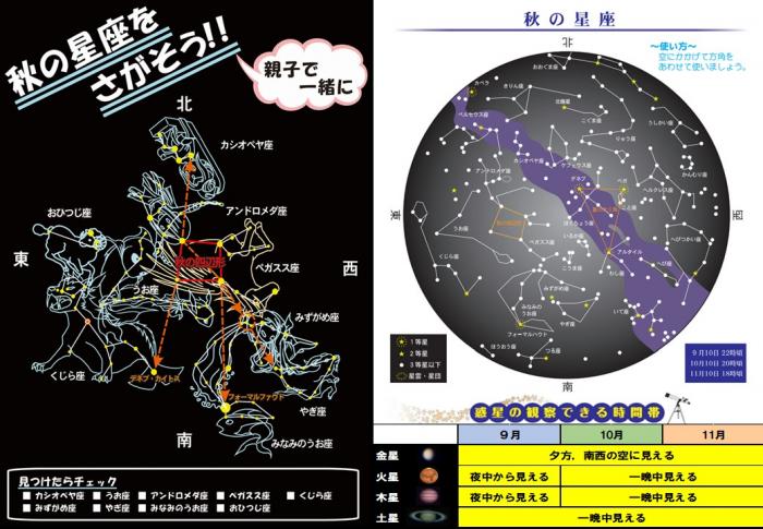 2024秋リーフ裏