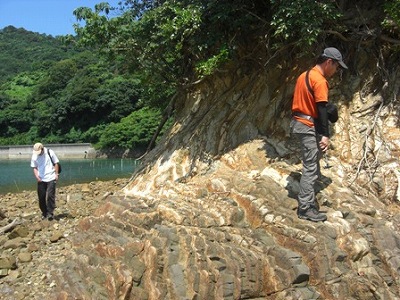 鹿児島と化石1