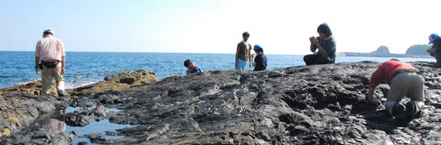 1化石研究の最前線-甑島.JPG