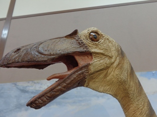 4-恐竜模型.JPG